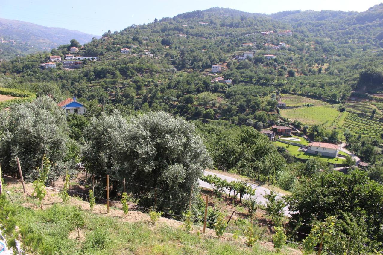 فيلا Casa Do Passarinho ريزندي المظهر الخارجي الصورة